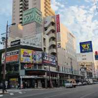 Otaku Paradise: Exploring the Lively DenDen Town in Osaka!