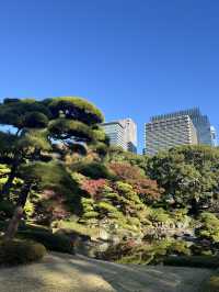 가을 느낌 물씬 [니노마루 정원]⛲️