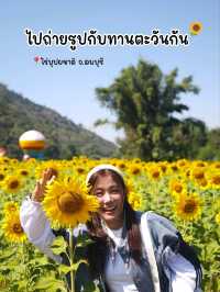 ทานตะวันบานแล้วจ้าาาา 🌻