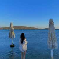 Cocos the Club Solto Recommendation