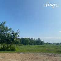 尼泊爾🇳🇵奇旺國家公園 🏞️ 犀牛🦏