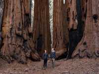 Top 3 Reasons You Need to Visit Kings Canyon National Park