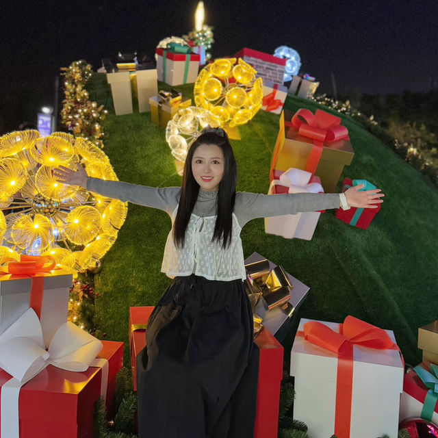 🇭🇰香港最靓巨型聖誕樹🎄熊貓🐼打卡位🥰你仲唔快d去打卡