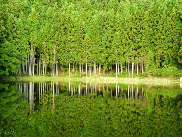 【奈良県】龍が眠る池「龍王ヶ淵」