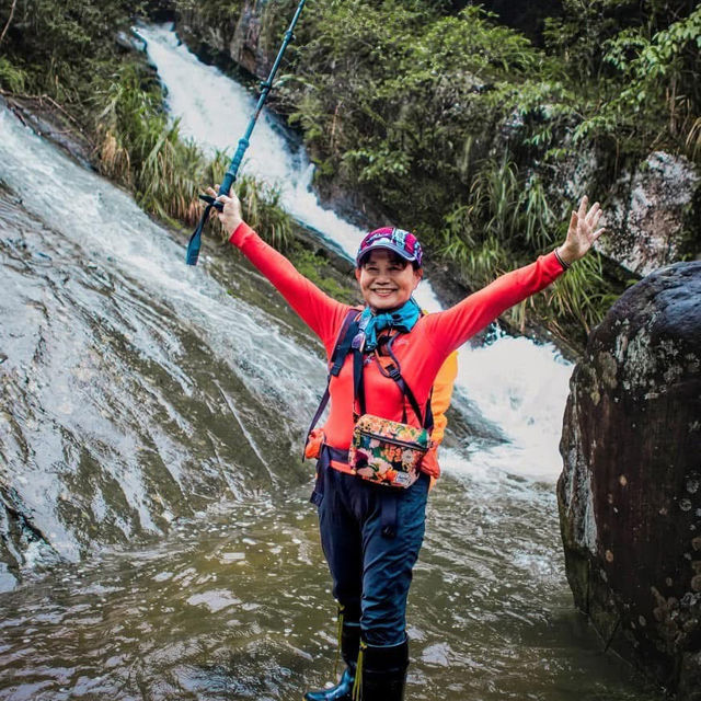 基隆的親水森林步道