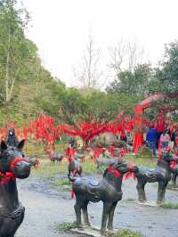 น้ำตกซือเฟิ่น ธรรมชาติสวยงามเมืองไทเป 🌳