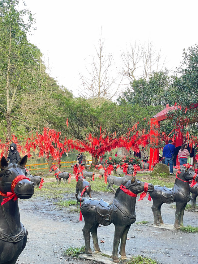 น้ำตกซือเฟิ่น ธรรมชาติสวยงามเมืองไทเป 🌳