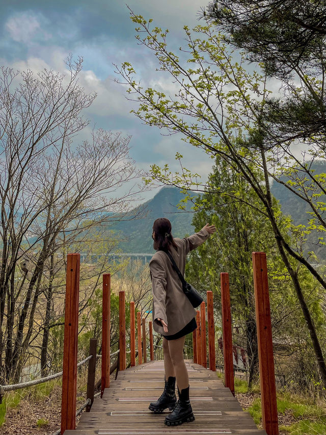 대자연의 아름다운 단양, 뚜벅이들을 위한 2박 3일 스팟🇰🇷