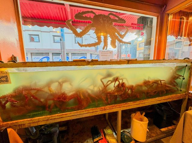 阿根廷-烏斯懷亞🇦🇷味道超讚一試再試的帝王巨蟹🦀