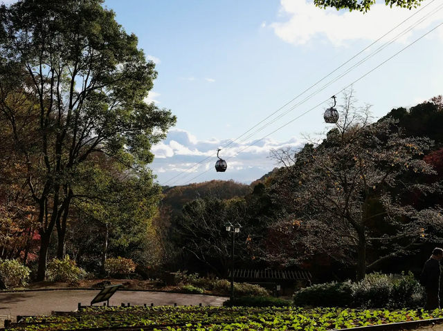 Kobe Nunobiki Herb Gardens & Ropeway 