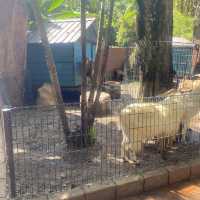 Lost word at Lost World of Tambun