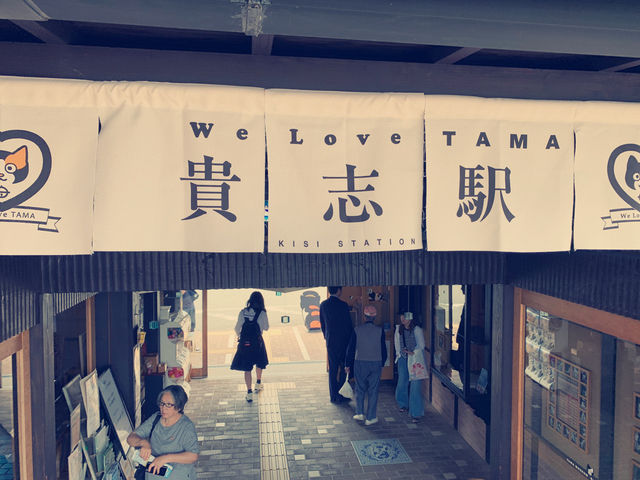 驚喜與感動交織的和歌山小玉電車之旅 🚂❤️
