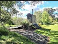 Tasmanian Arboretum