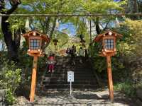 Hiking to Chureito Pagoda: A Mount Fuji Adventure with a View