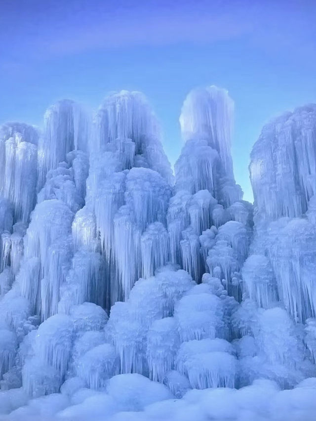 ⛄️冬季限定｜現實版冰雪奇緣❄️