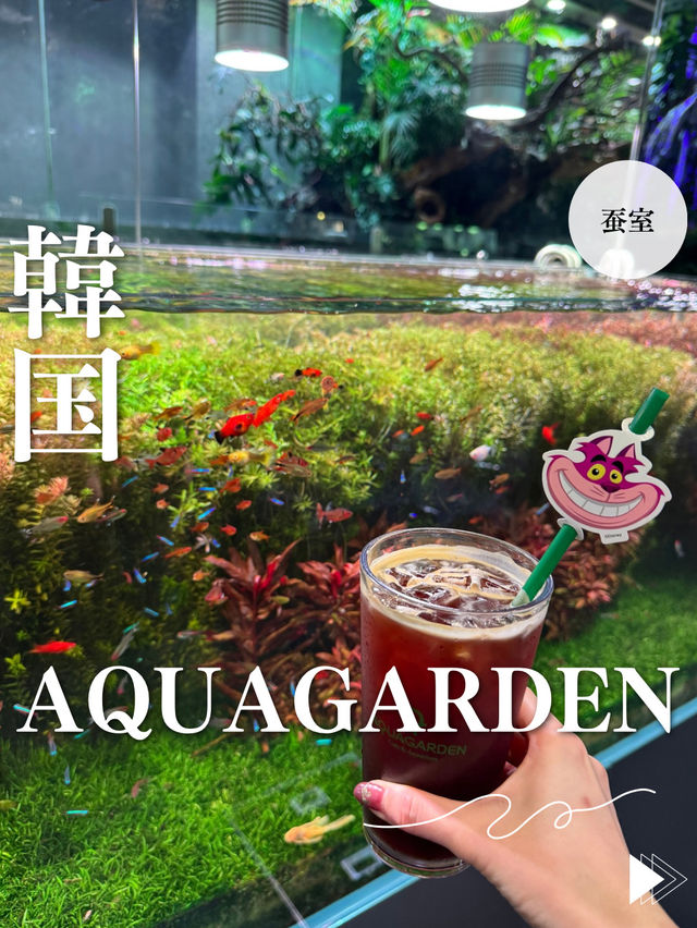 韓国/ソウル【蚕室】AQUAGARDEN
