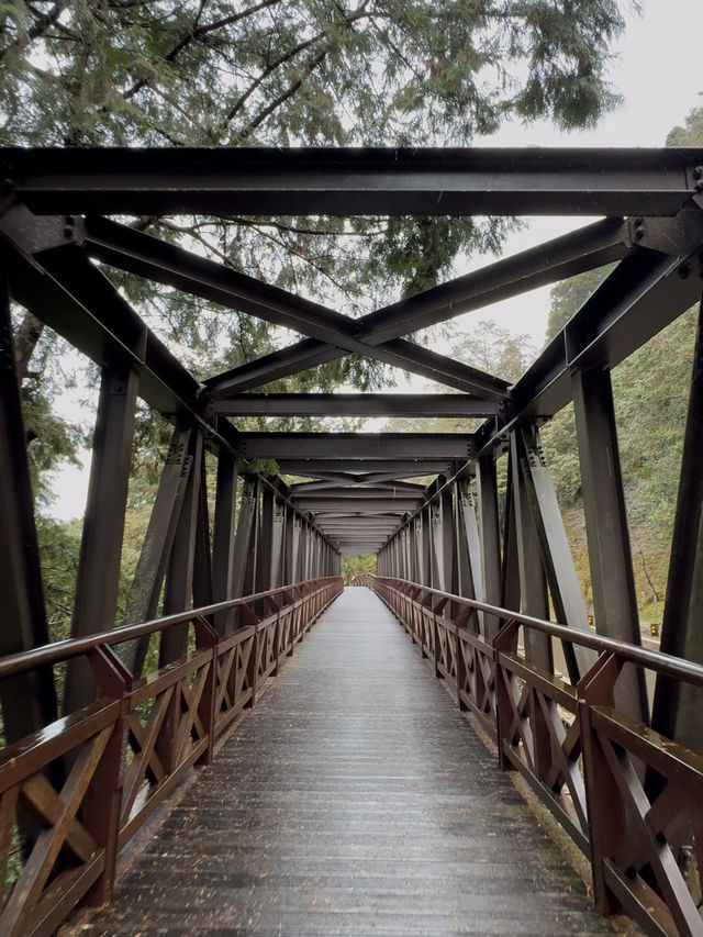 Alishan National Park: A Mystical Journey