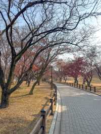 경주 가면 꼭 가야할 ‘경주대릉원’