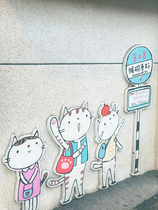 Houlong Cat Village หมู่บ้านที่ทาสแมวต้องหลงรัก 💖