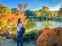 【愛知】四季折々の美を楽しむ中部地方最大級の日本庭園✨🌿