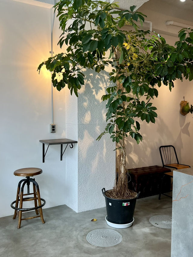 Cozy Hideaway in the Heart of Tokyo☕️
