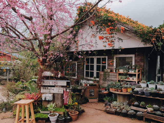 ที่พักขุนวางสีชมพูฟีลญี่ปุ่น 🌸💕🎏
