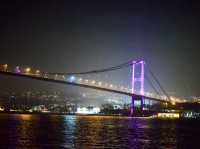 Dinner Cruise on the Bosphorus Strait🚢