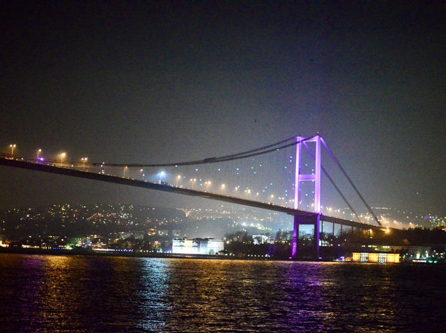 Dinner Cruise on the Bosphorus Strait🚢