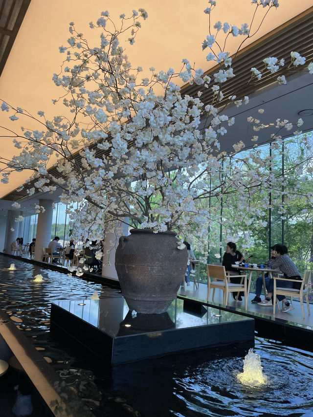 의정부 대형 카페, 최대 규모의 복합문화공간 아나키아 ☕️✨