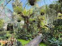 Queen Sirikit Botanic Garden 