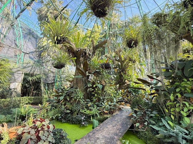 Queen Sirikit Botanic Garden 