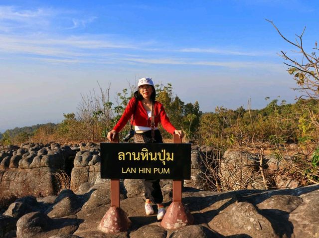 เส้นทางศึกษาธรรมชาติ ผาชูธง - ลานหินปุ่ม 