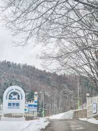 겨울엔 강원도 태백 여행 어때요? 환상적인 설경이 펼쳐지는 이곳
