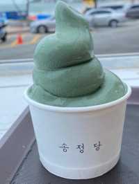 하루종일 즐기는 송정에서의 하루❤️