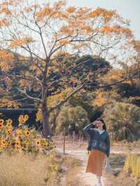放假郊外走走 ～ 塱原自然生態公園  