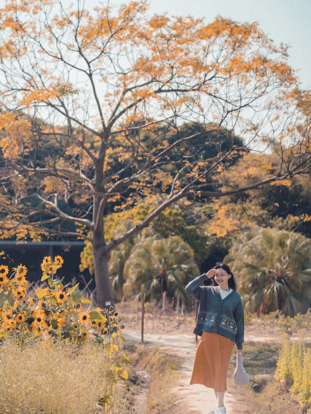 放假郊外走走 ～ 塱原自然生態公園  