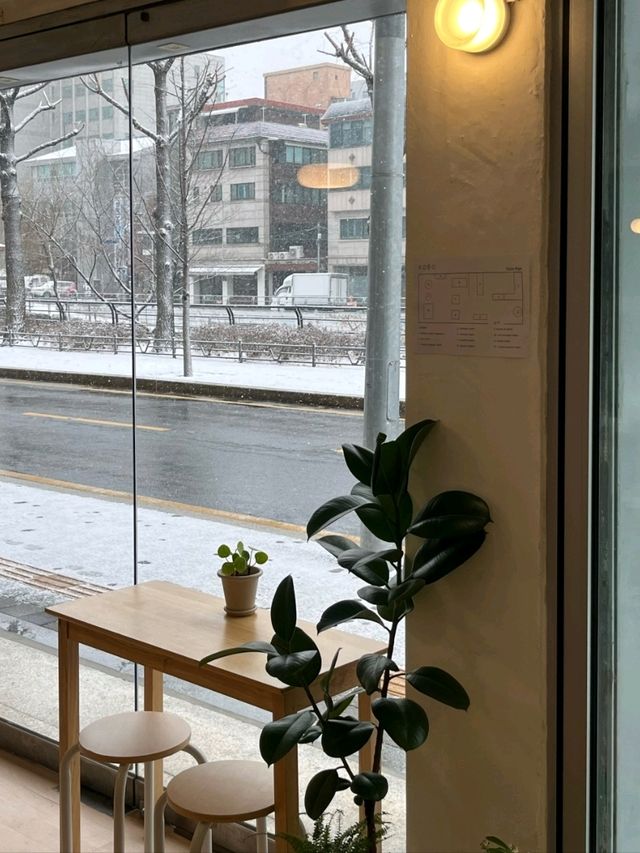 🎁🎀보문역 카페 코보 KOBO