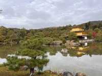 A Symphony of Colors — The Golden Glow of the Kinkakuji-Temple