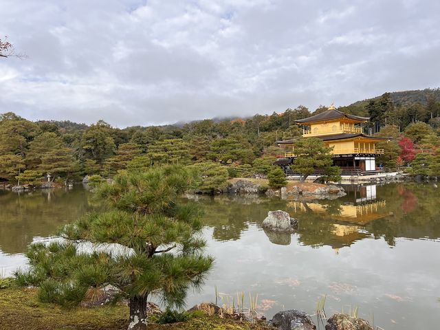 A Symphony of Colors — The Golden Glow of the Kinkakuji-Temple