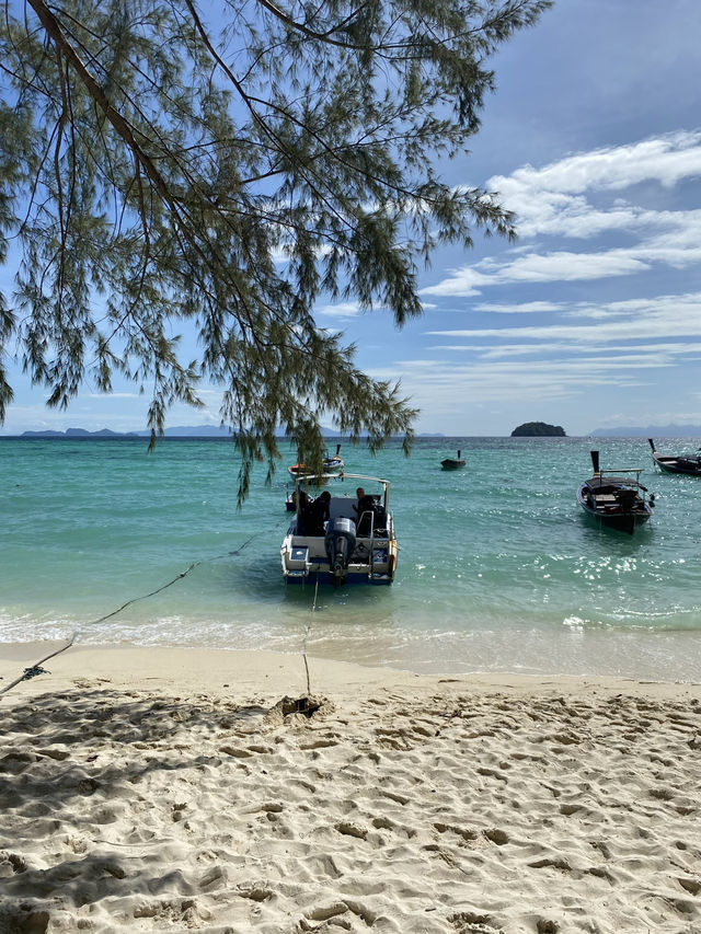 Discover the Magic of Koh Lipe 