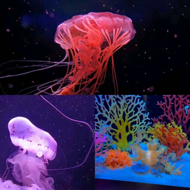 情侶好去處