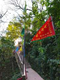 水庫公園對上的小小格仔山丘