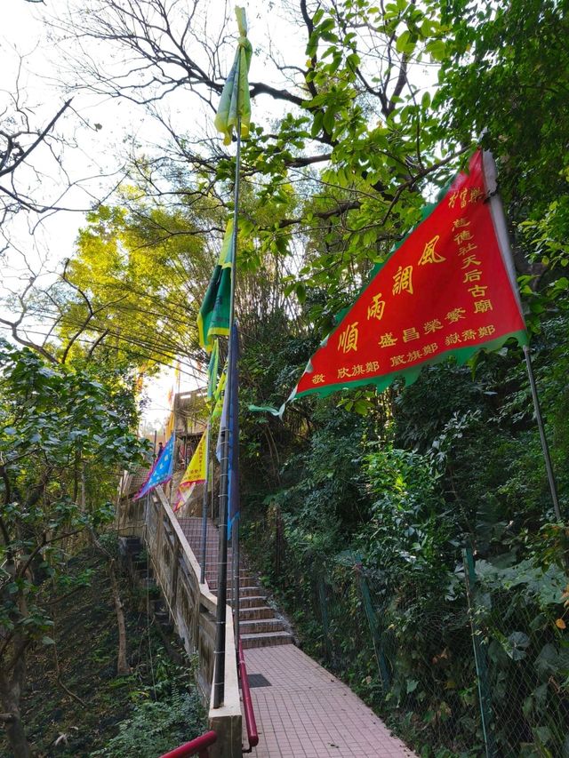 水庫公園對上的小小格仔山丘