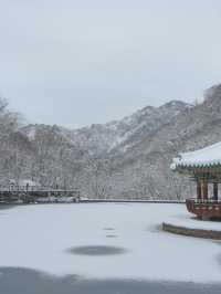 진짜 등산 1도 없이 만날 수 있는 눈 내린 겨울 설산🏔️❄