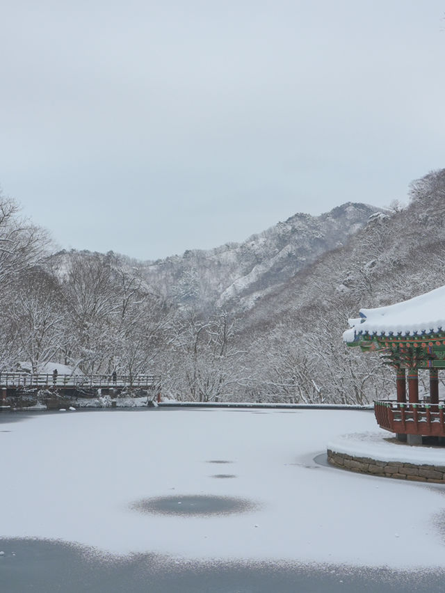 진짜 등산 1도 없이 만날 수 있는 눈 내린 겨울 설산🏔️❄