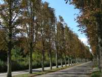 ตามรอยซีรีย์ @ พระราชวัง Sanssouci Potsdam Germany