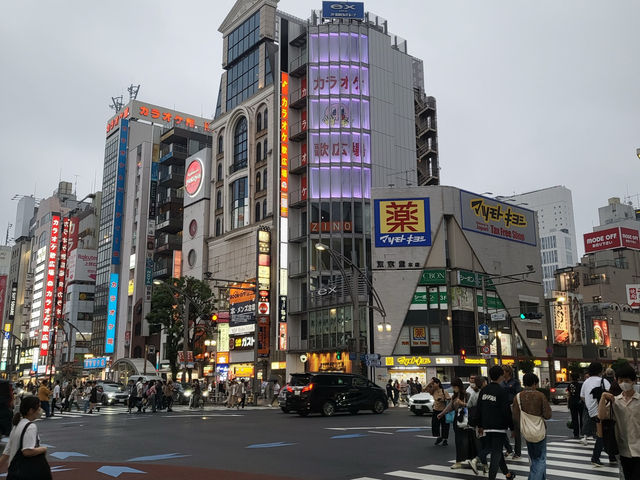 도쿄여행