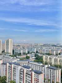 Beauty of Kallang River: A Picturesque Walk from Bishan Park