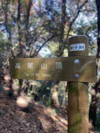 A Quick Mountain Hike to Mt. Takao