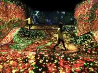 福岡TeamLab Forest，超乎想像的數位藝術展覽！✨